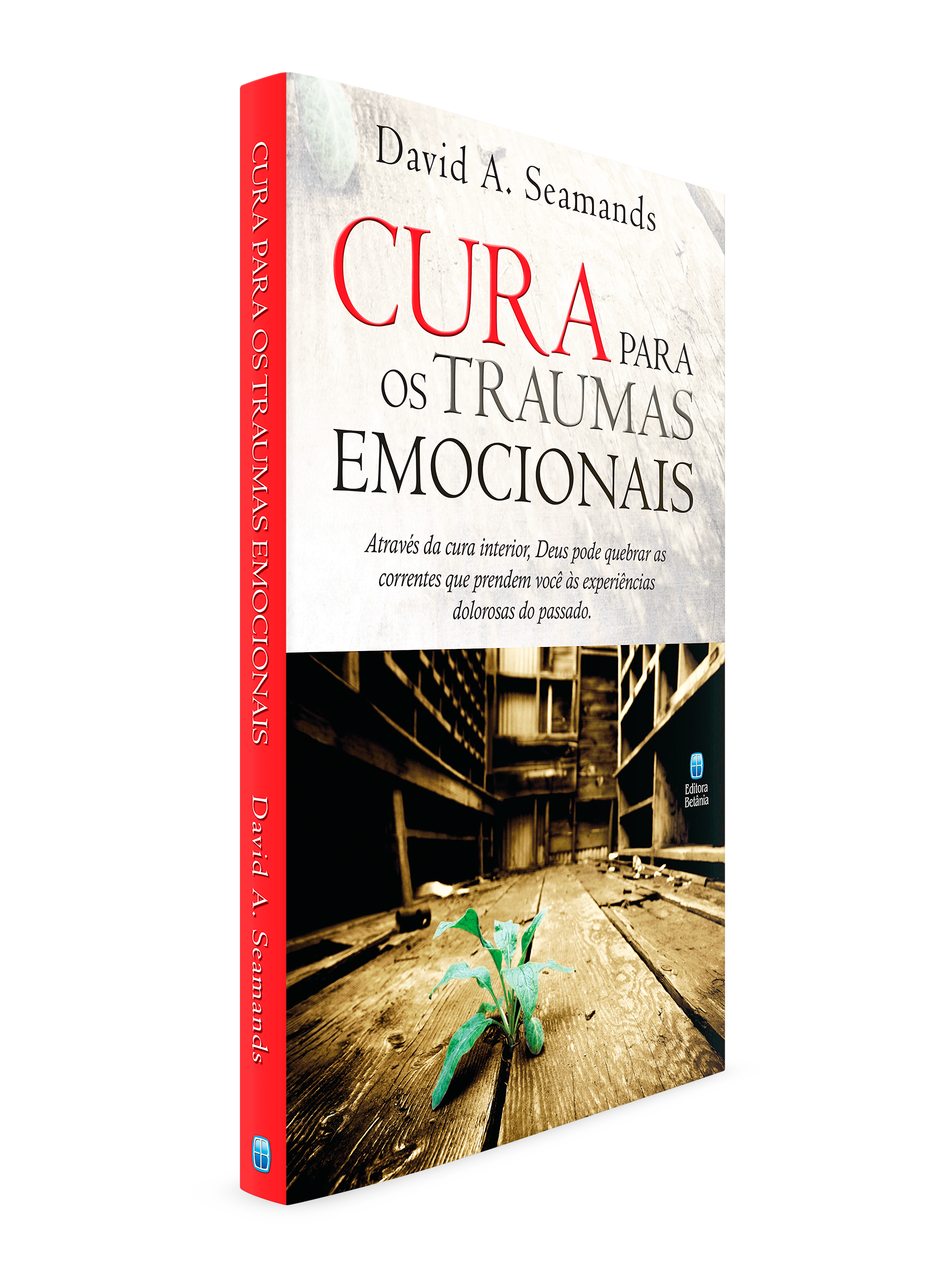 Pequenos traumas - Superando as barreiras emocionais que afetam a nossa  saúde mental by Grupo Autentica - Issuu