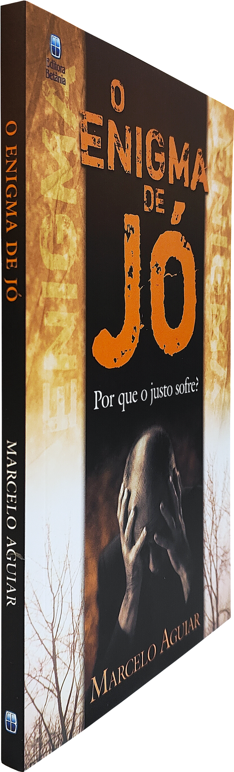 O Enigma de Jó | Marcelo Aguiar